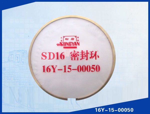 SD16 (φ270).jpg