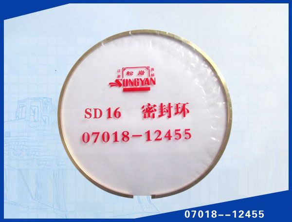 SD16 (φ245).jpg