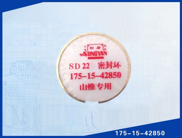 SD22 (φ120).jpg