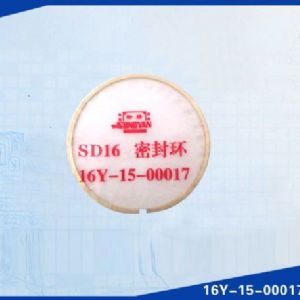 SD16 (φ120)
