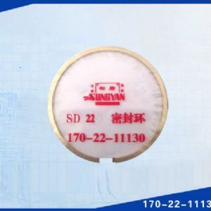 SD22 (φ145)